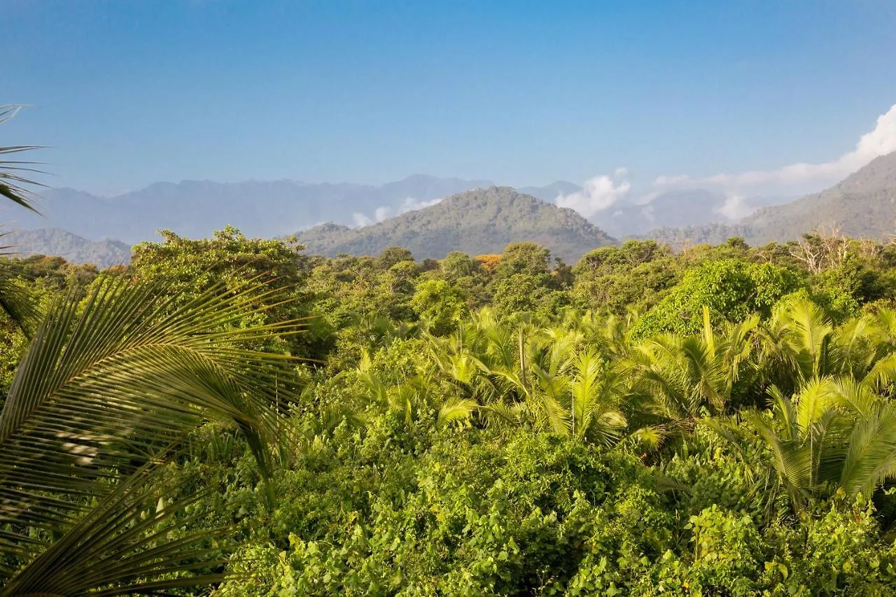 Bohemia Beach Tayrona Guachaca Guest house